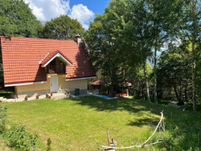 Mountain Vila in Ponikva